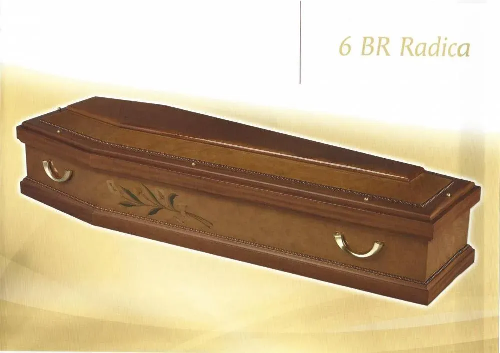 6 br Radica